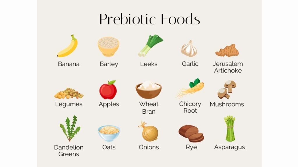Prebiotics vs Probiotics