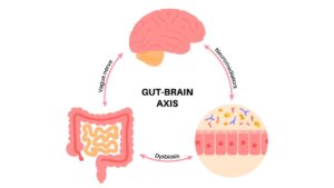 Gut Health and Stress: Is There Really a Gut-Brain Connection?