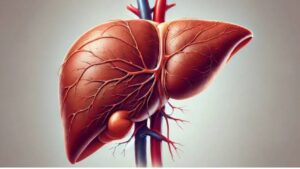 Liver, Weight and Metabolism: Why They Are Connected