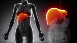 What Does the Liver Actually Do?