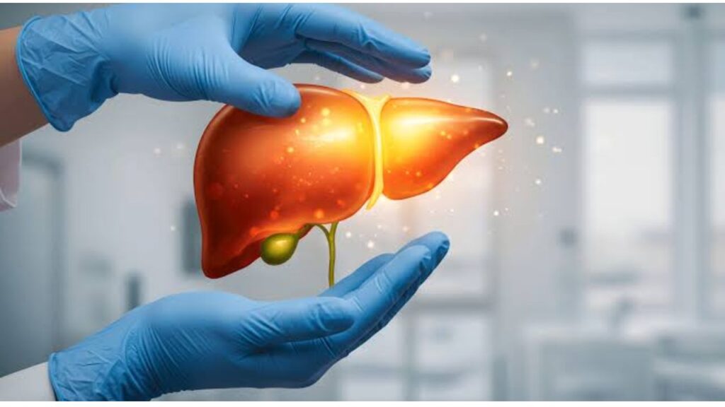 What Does the Liver Actually Do?